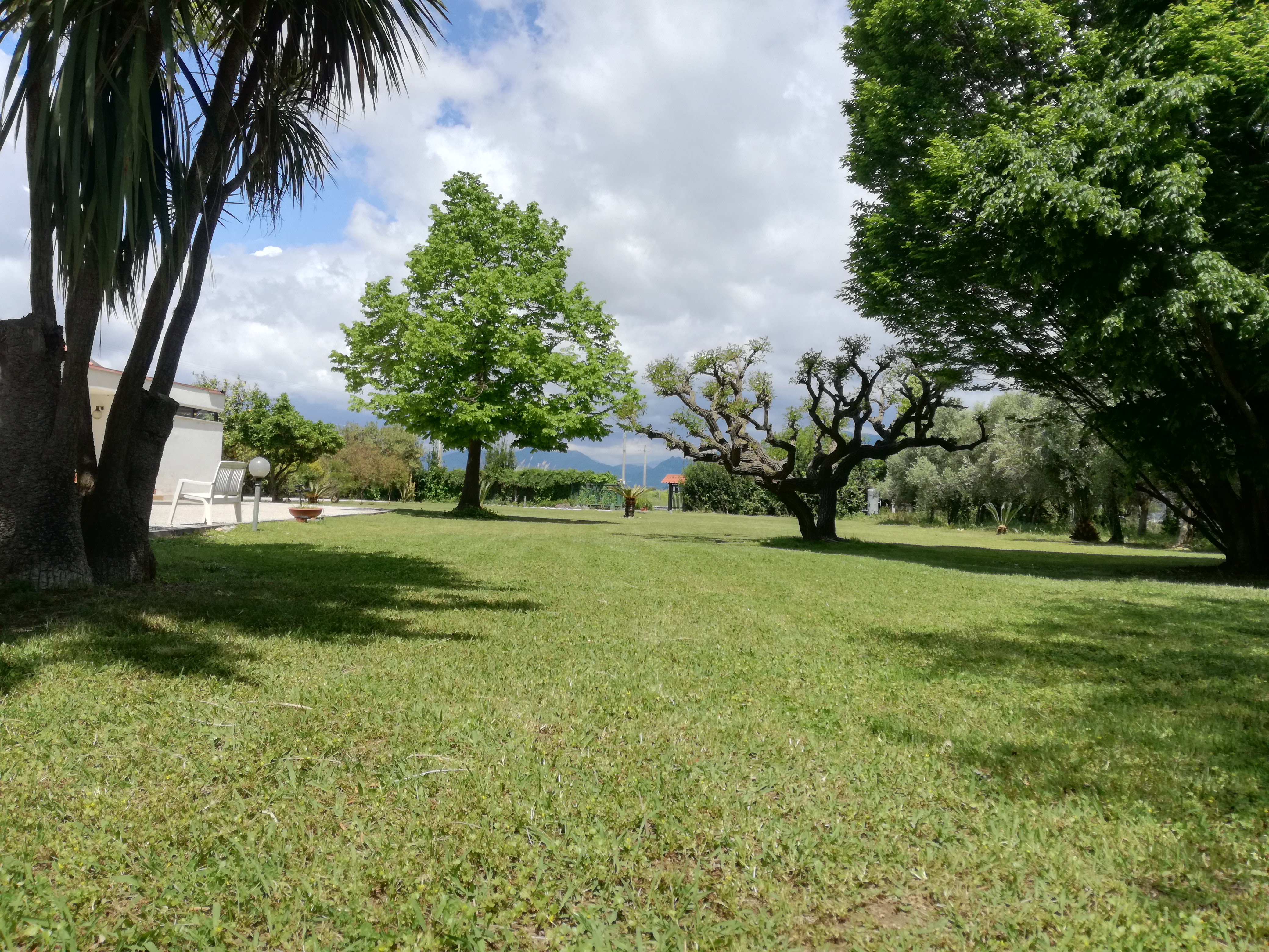 Parco