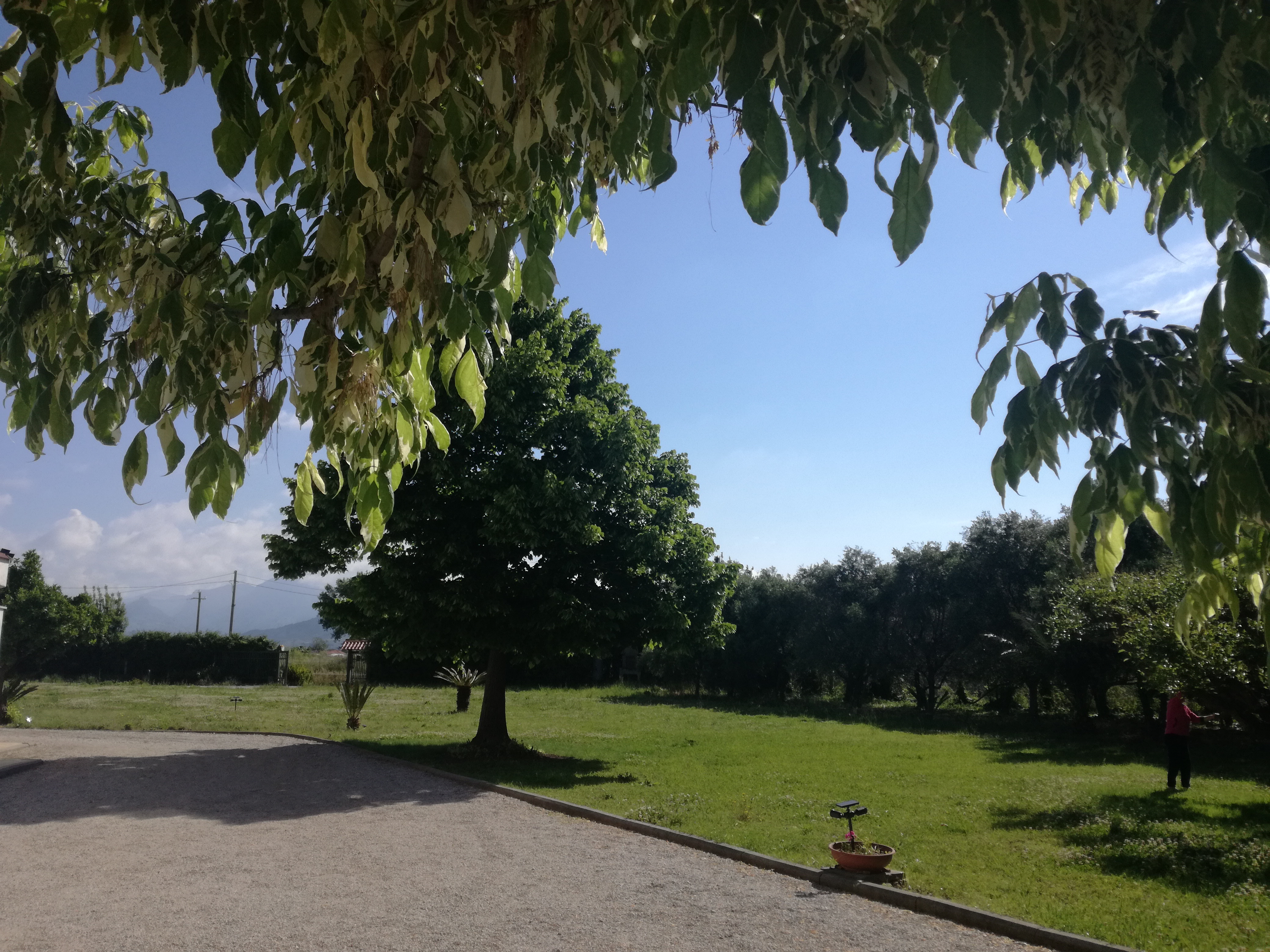 Il giardino